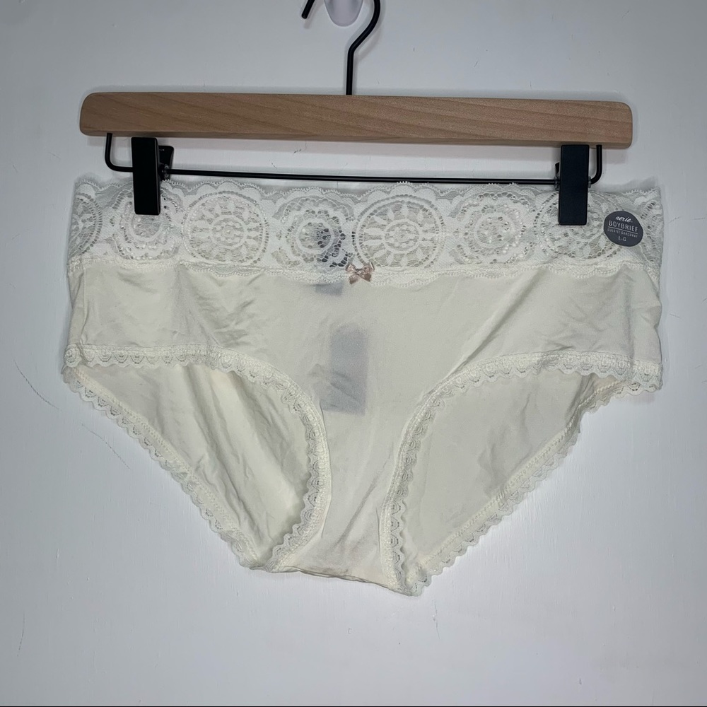 Aerie lace shine boybrief undies NWT